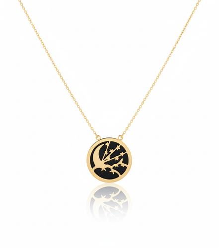 18k Gold Onyx Necklace Moon & Star